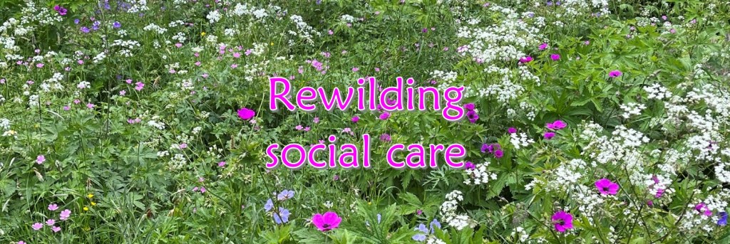 Rewilding social care