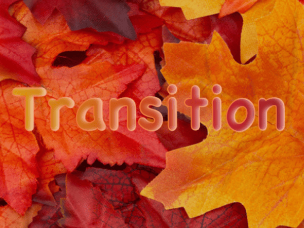 Words that make me go hmmm:&nbsp;Transition