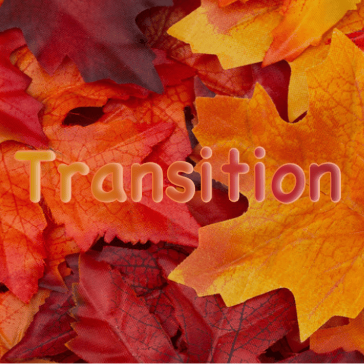 Words that make me go hmmm:&nbsp;Transition